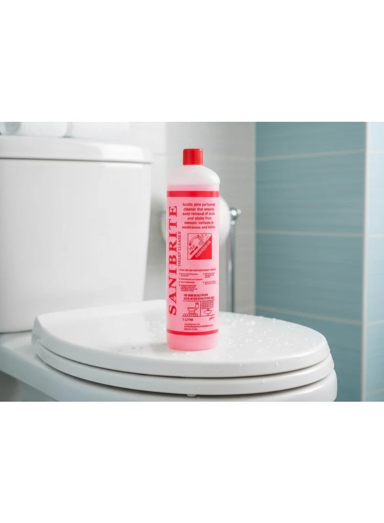 CHEMEX SANIBRIGHT TOILET BOWL CLEANER 1 Ltr - Image 2